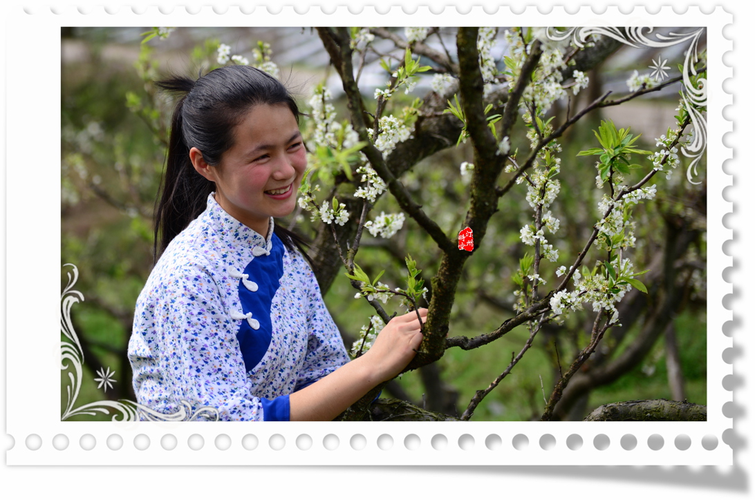 汀州客家-桃花妹子