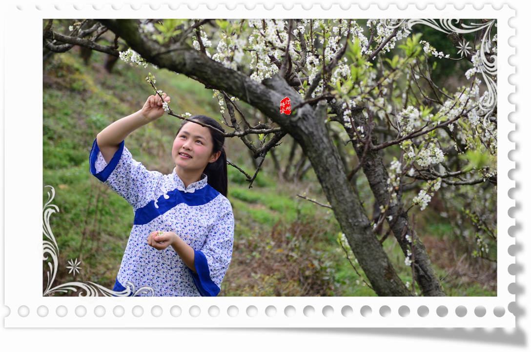 汀州客家-桃花妹子