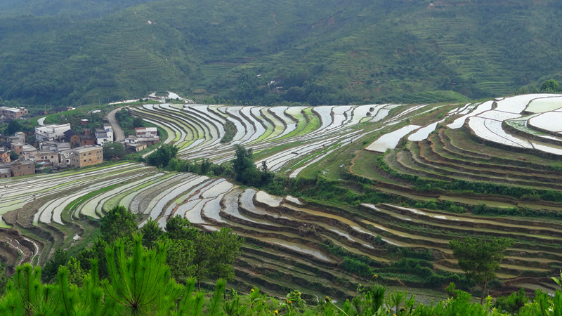 大埔大东坪山梯田