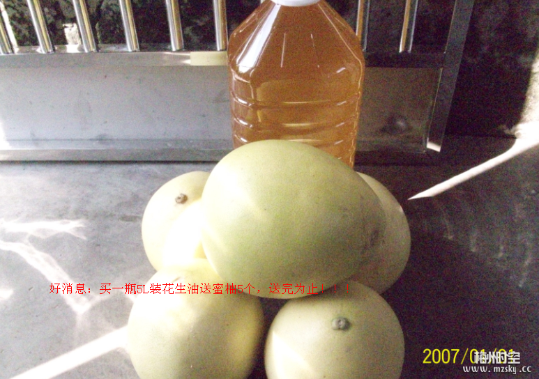 鲜榨花生油便宜卖！现在买油送柚子！！！！