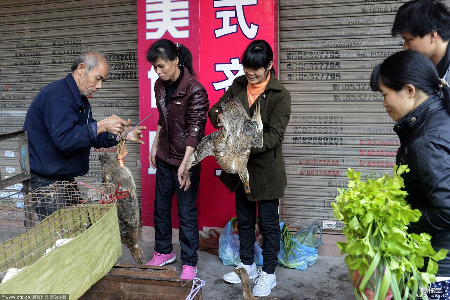 春节东莞民工在街上看耍猴情侣们坐在长椅上晒太阳