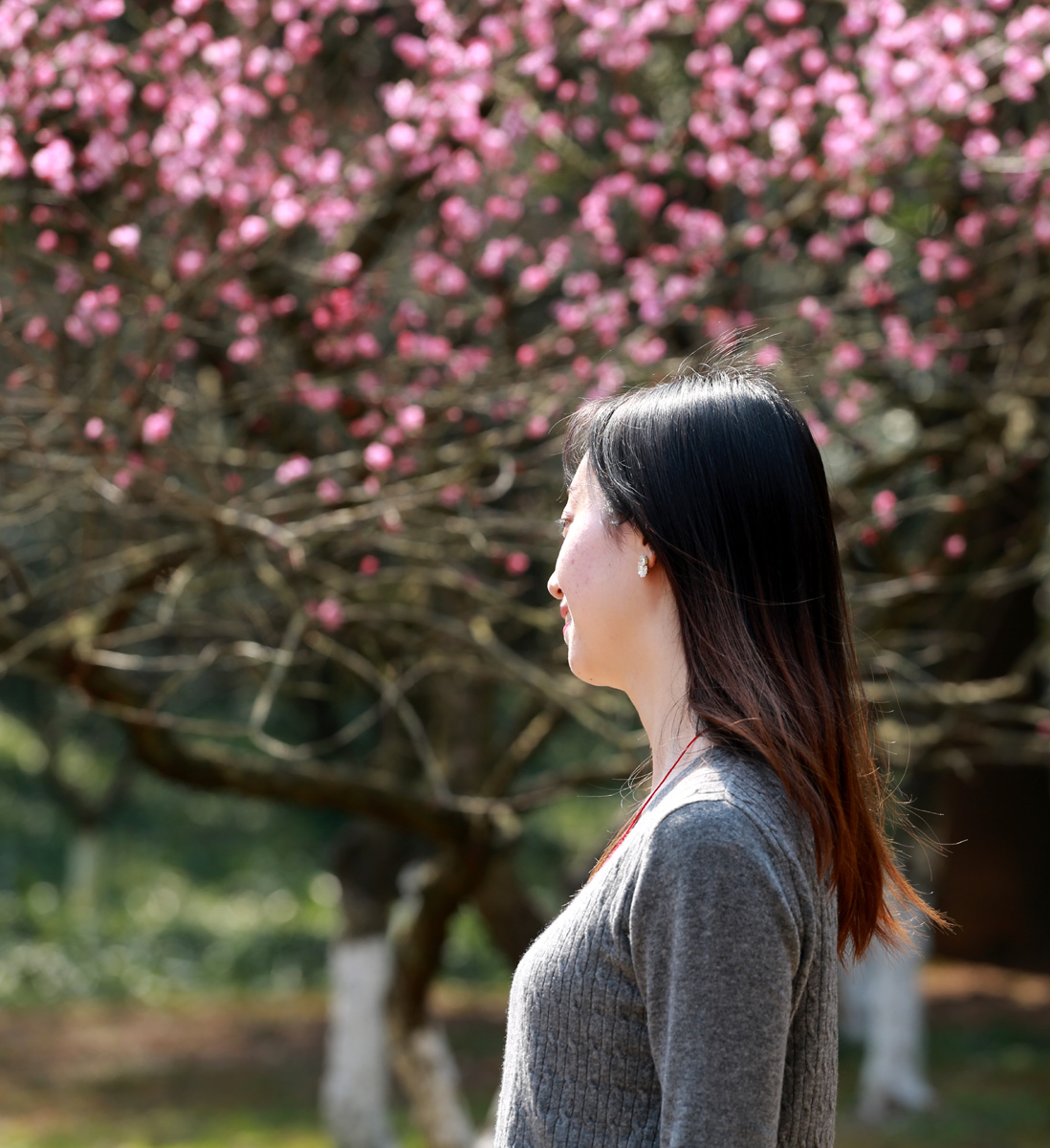 梅花树下的美女 - 摄影 梅州时空