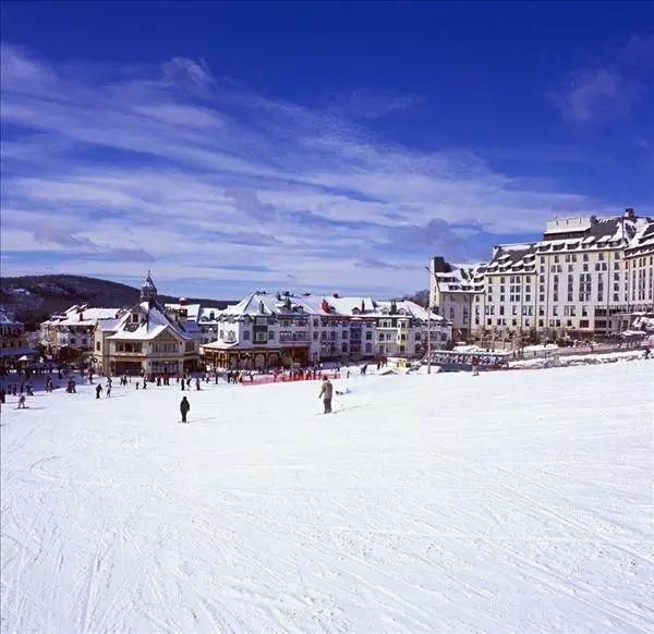 全球顶级滑雪场，简直美成了冰雪奇缘