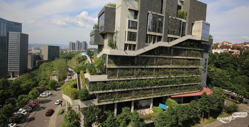 水泥森林中的空中花园重庆建筑再走红