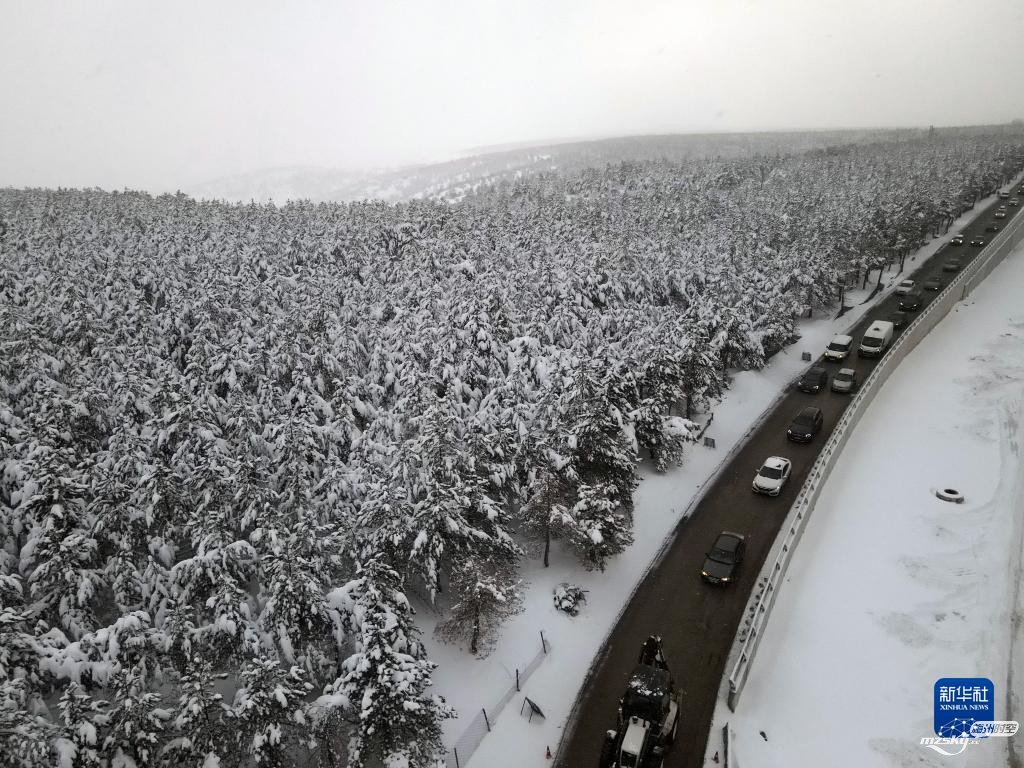 土耳其遭遇强降雪 至少1人死亡