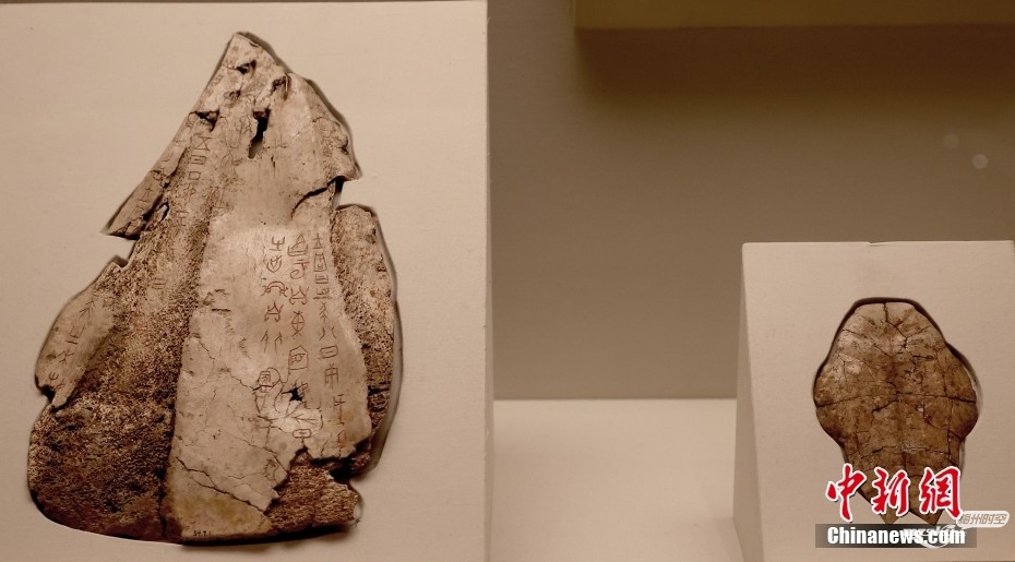 文明的坐标丨一片甲骨，穿越回三千年前的殷商王朝都城