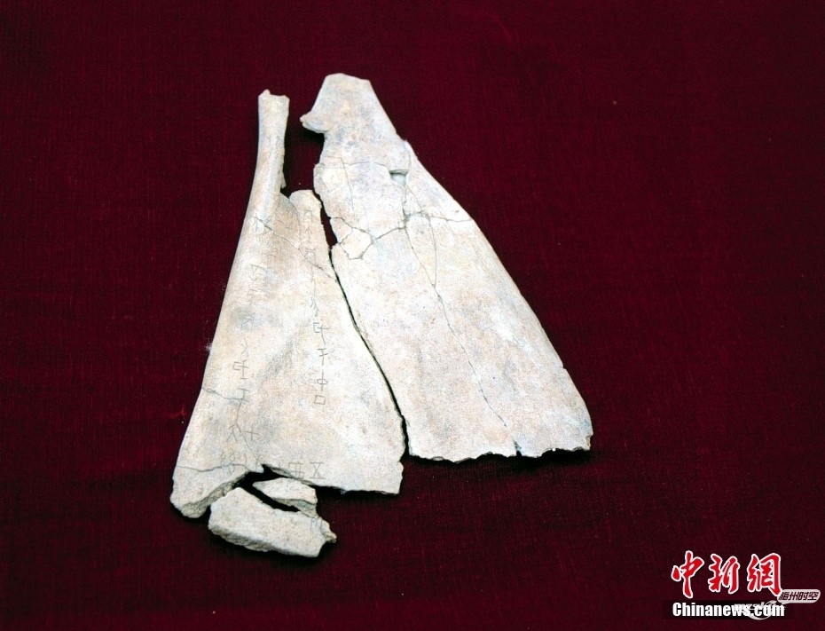 文明的坐标丨一片甲骨，穿越回三千年前的殷商王朝都城