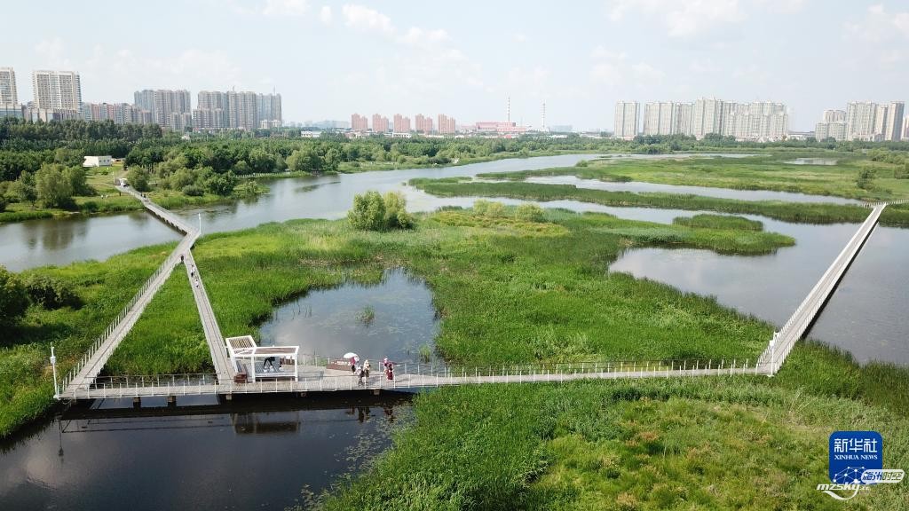 《湿地公约》第十四届缔约方大会提出多项中国主张