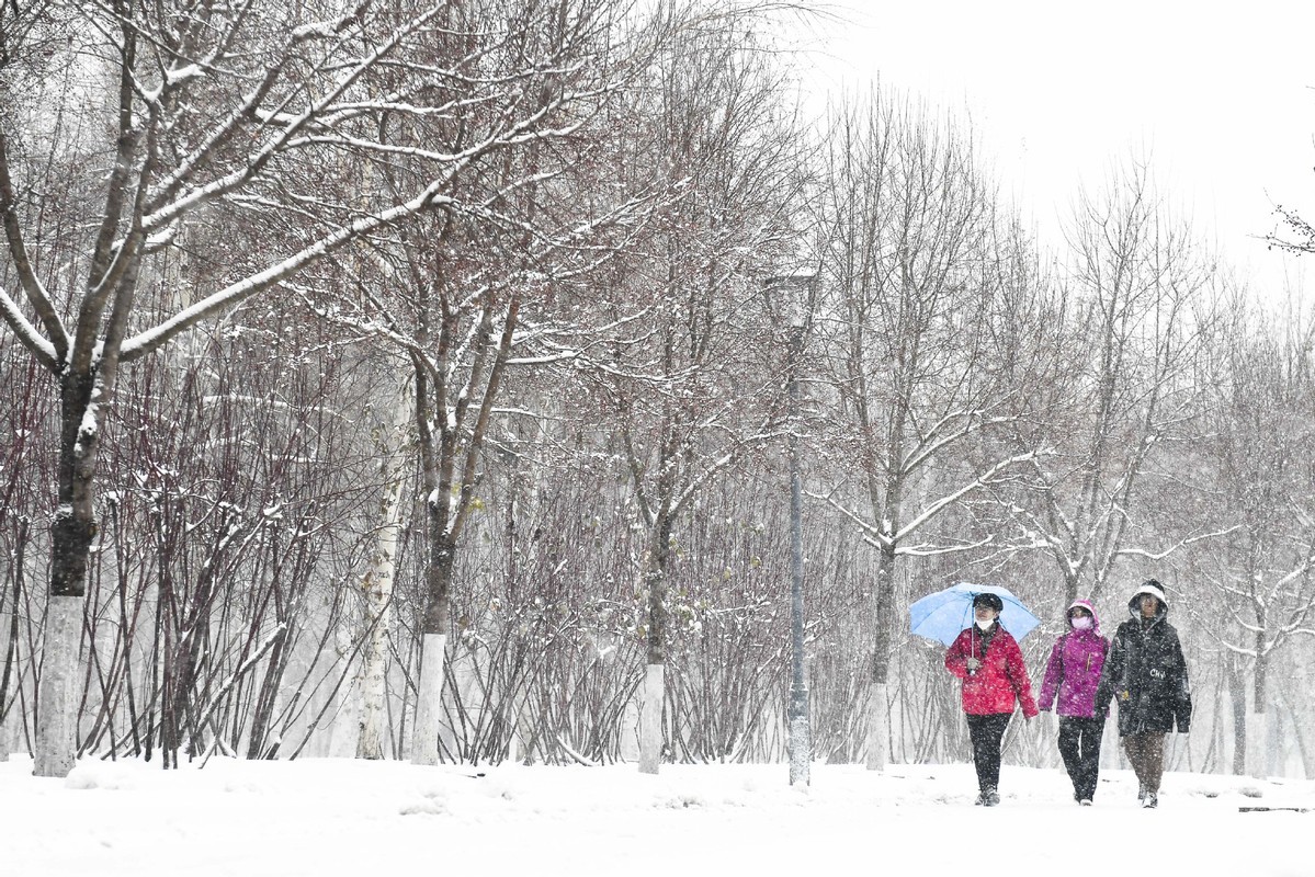 中国东北部吉林部分地区降雪