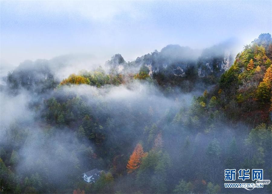 神农架秋色未尽 风景正好