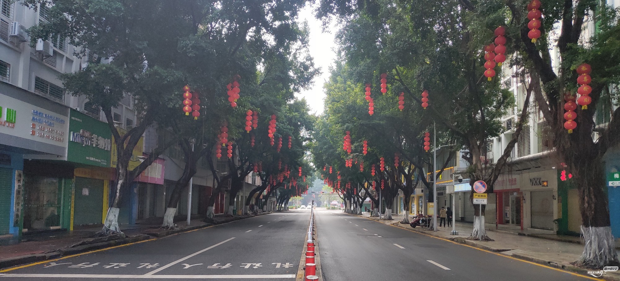 江南大街灯笼挂、梅江大道