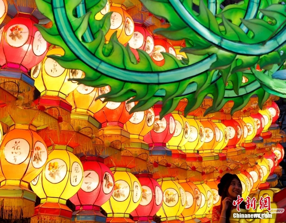 四海同贺中国年 多国举行精彩活动欢庆春节