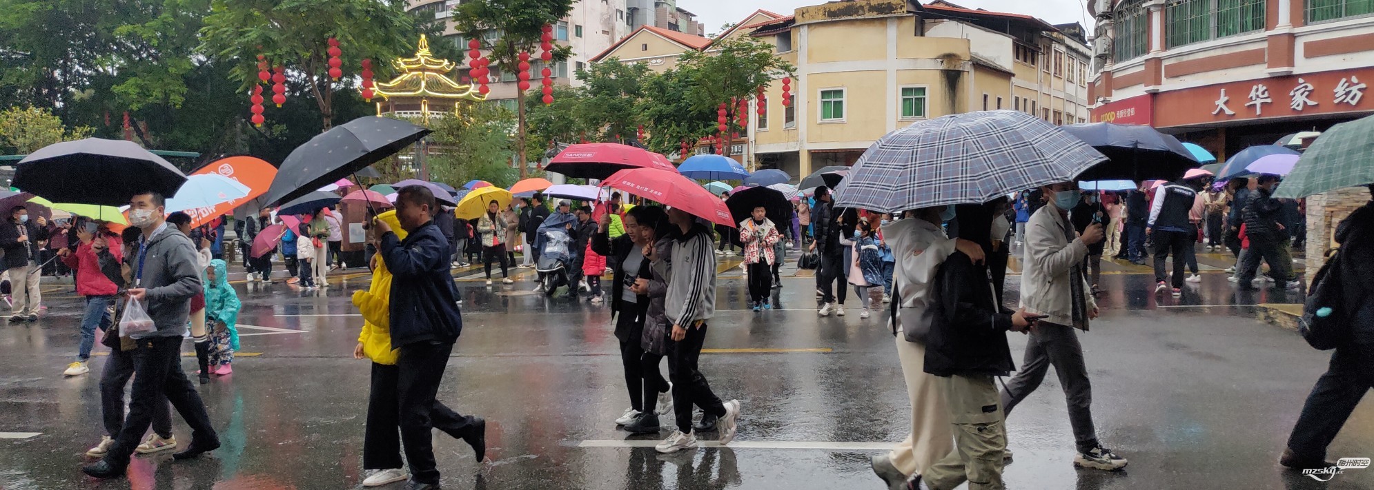 冒着雨、举着伞、看舞龙舞狮巡游表演