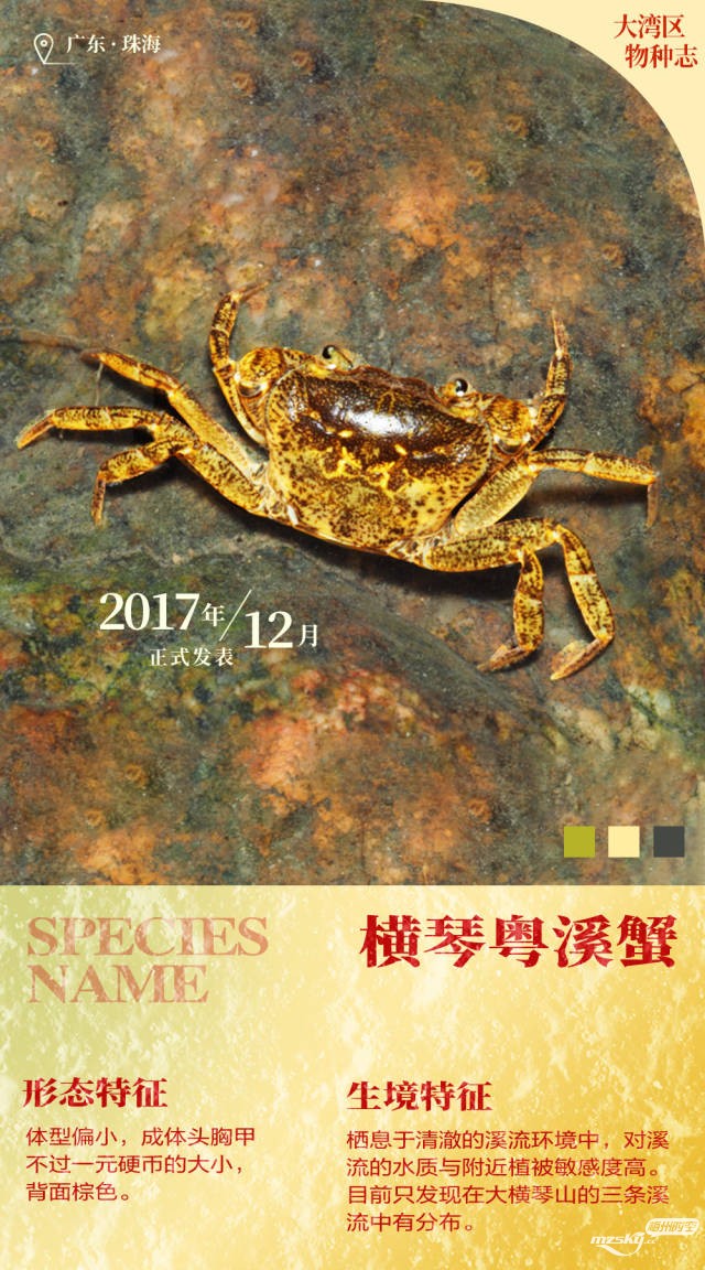 神奇生物在哪里？以大湾区的名字呼唤你