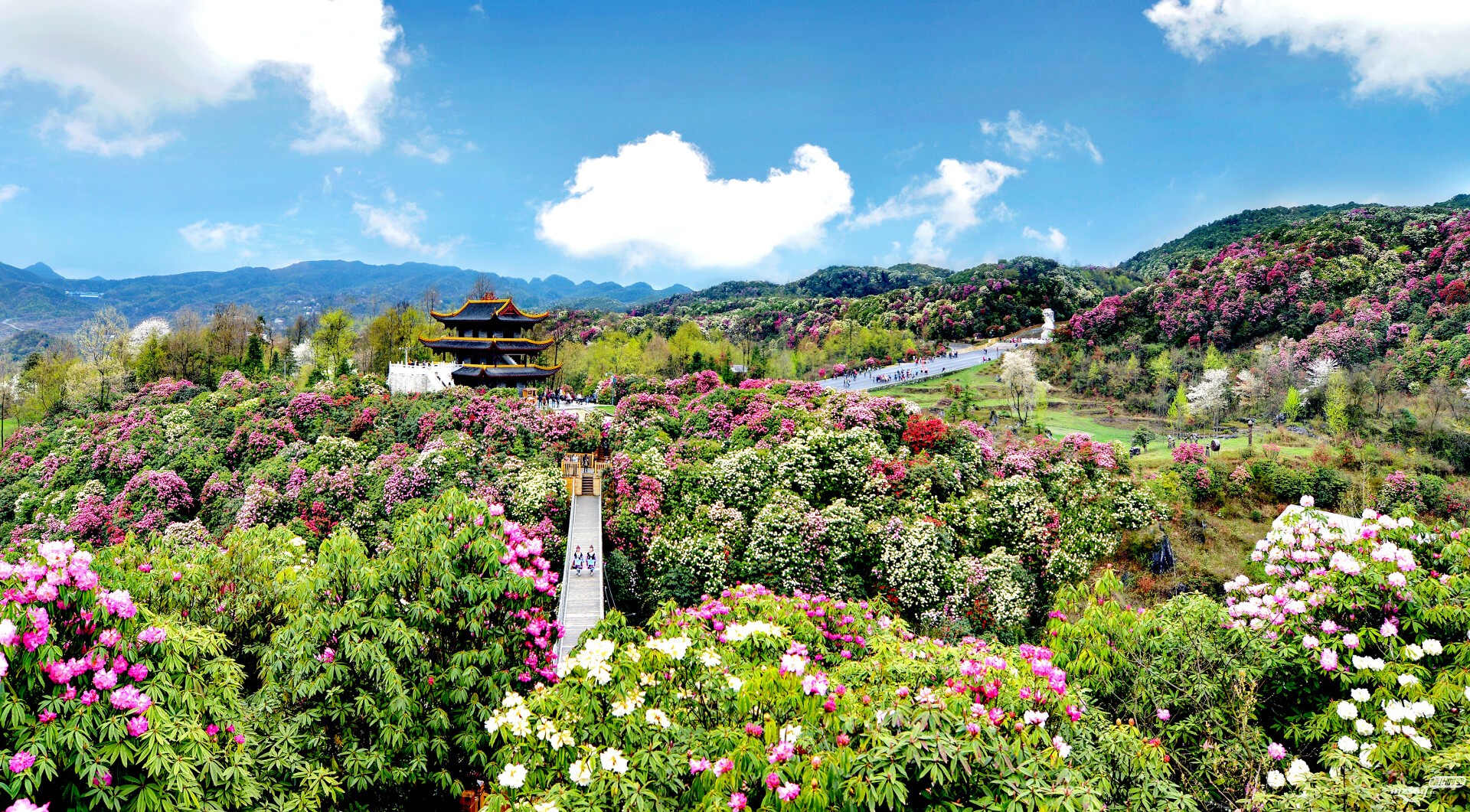 贵州毕节市邀请广东居民拥抱清爽的夏天