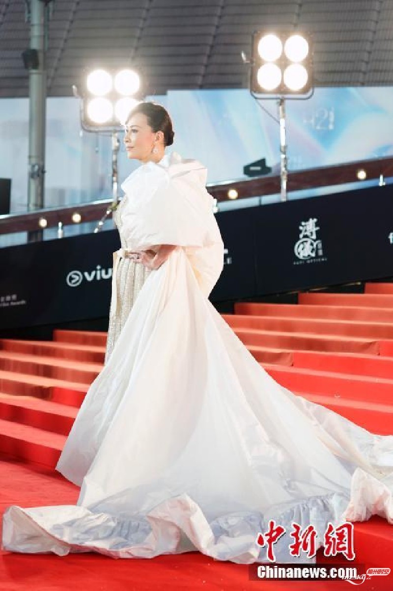 刘嘉玲出席第42届香港电影金像奖红毯仪式