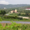 探访中国援尼日利亚农业技术示范中心